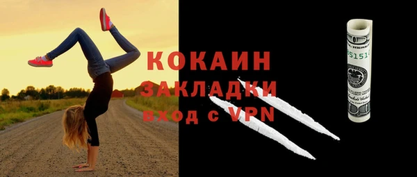 сатива Белокуриха