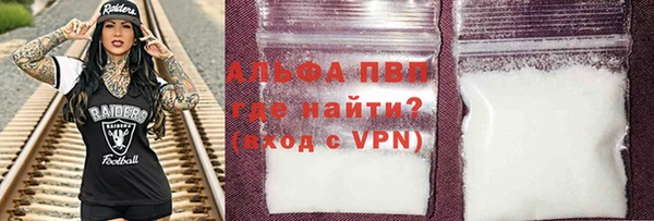 сатива Белокуриха