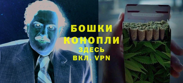сатива Белокуриха