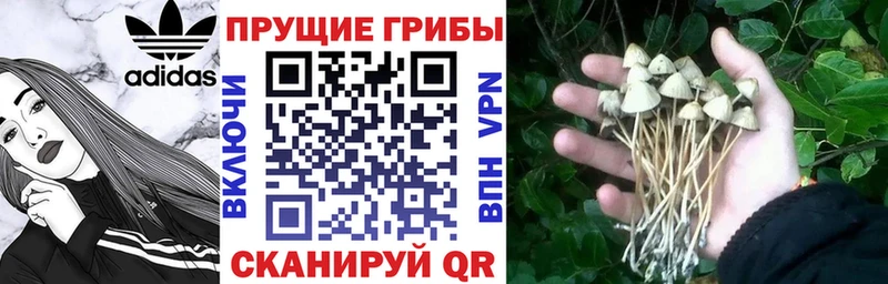 Галлюциногенные грибы мицелий  Белоярский 